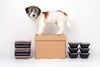 Raw Dog Food Boxes: Pet Nutrition on Your Terms